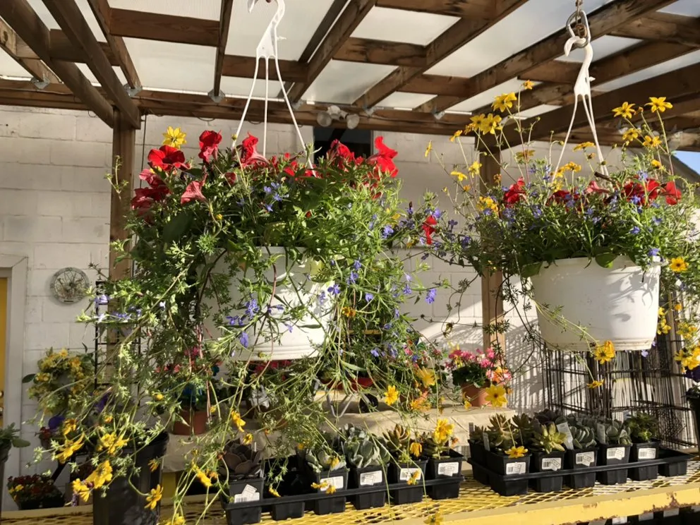 Expert yard cleanup service with custom design in Taylor, MI by Massab Acres Greenhouse & Nursery