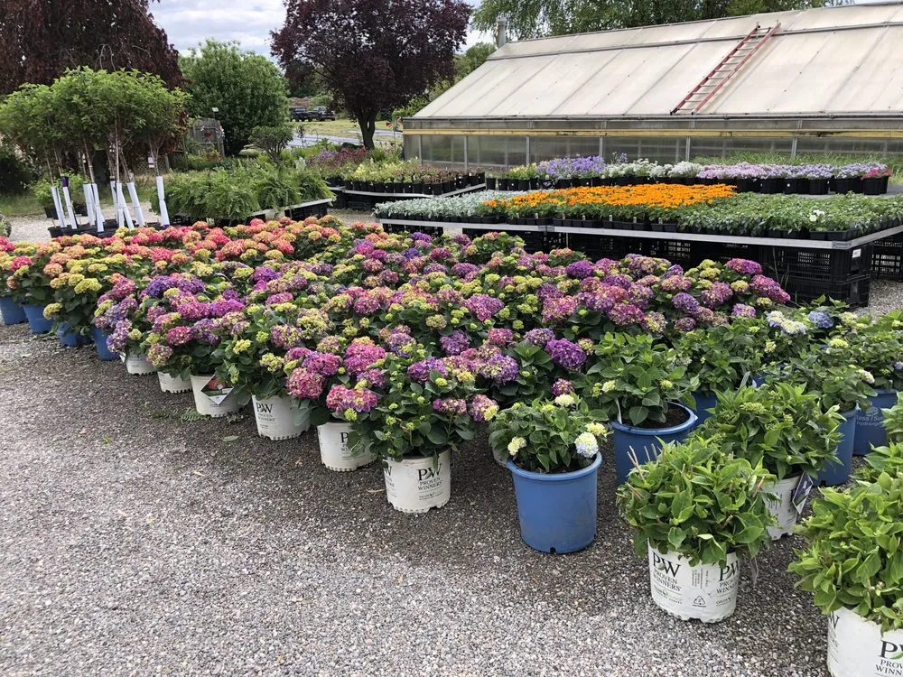 Affordable lawn care service experts serving Taylor, MI - Massab Acres Greenhouse & Nursery