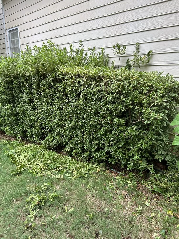 Trusted outdoor landscaping for homes in Dahlonega, GA by Massas Lawn Services