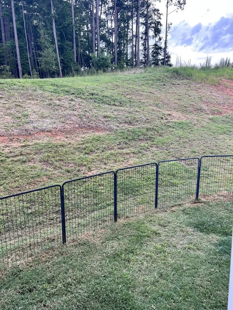 Professional lawn care service in Dahlonega, GA by Massas Lawn Services