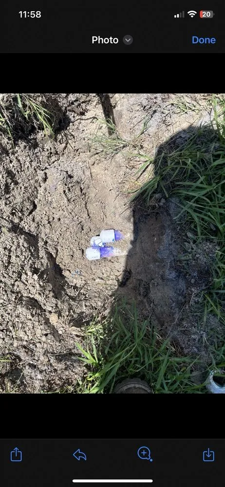 Local residential landscaping for homes in Brooksville, FL by Massey Services