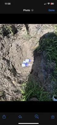 Massey Services Logo