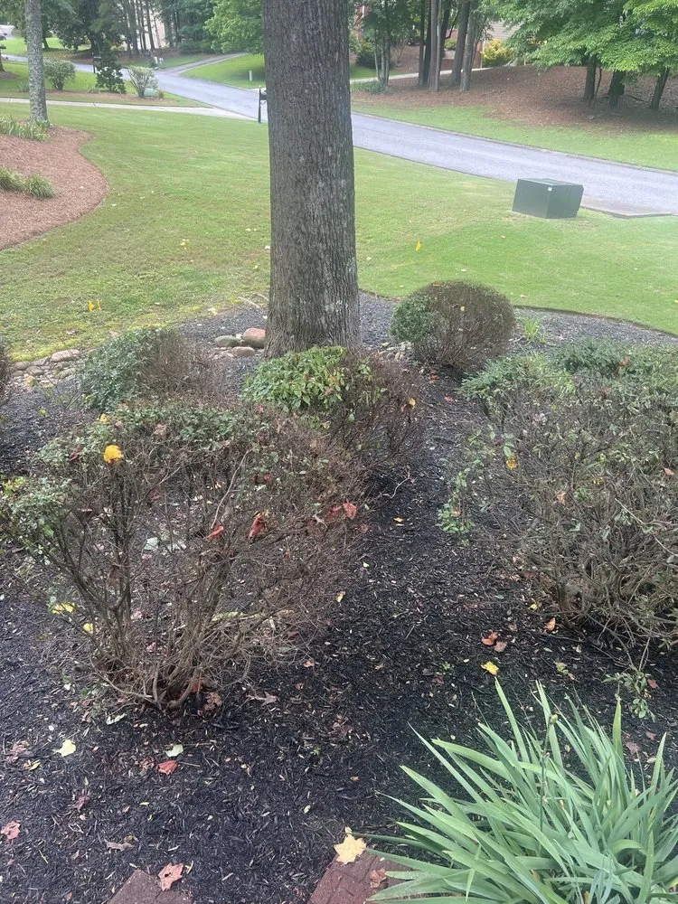 Affordable outdoor landscaping for beautiful yards in Cumming, GA by Massey Services