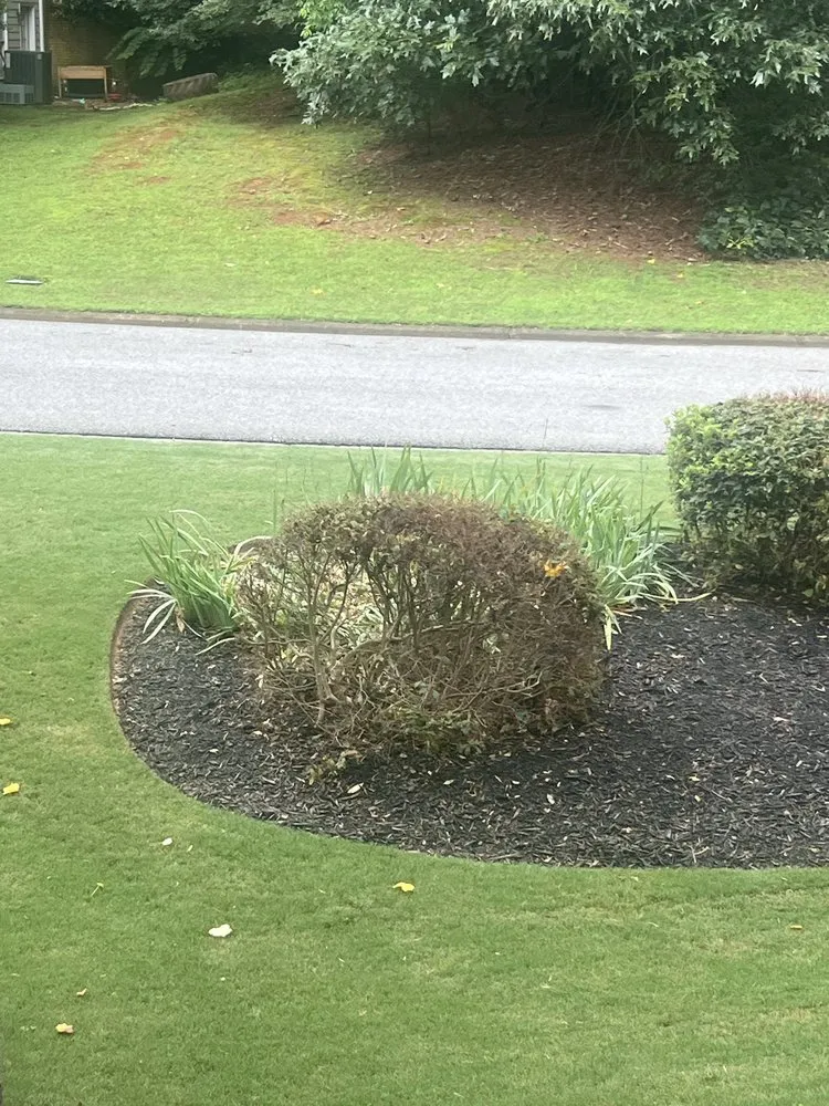 Custom lawn care service experts serving Cumming, GA - Massey Services