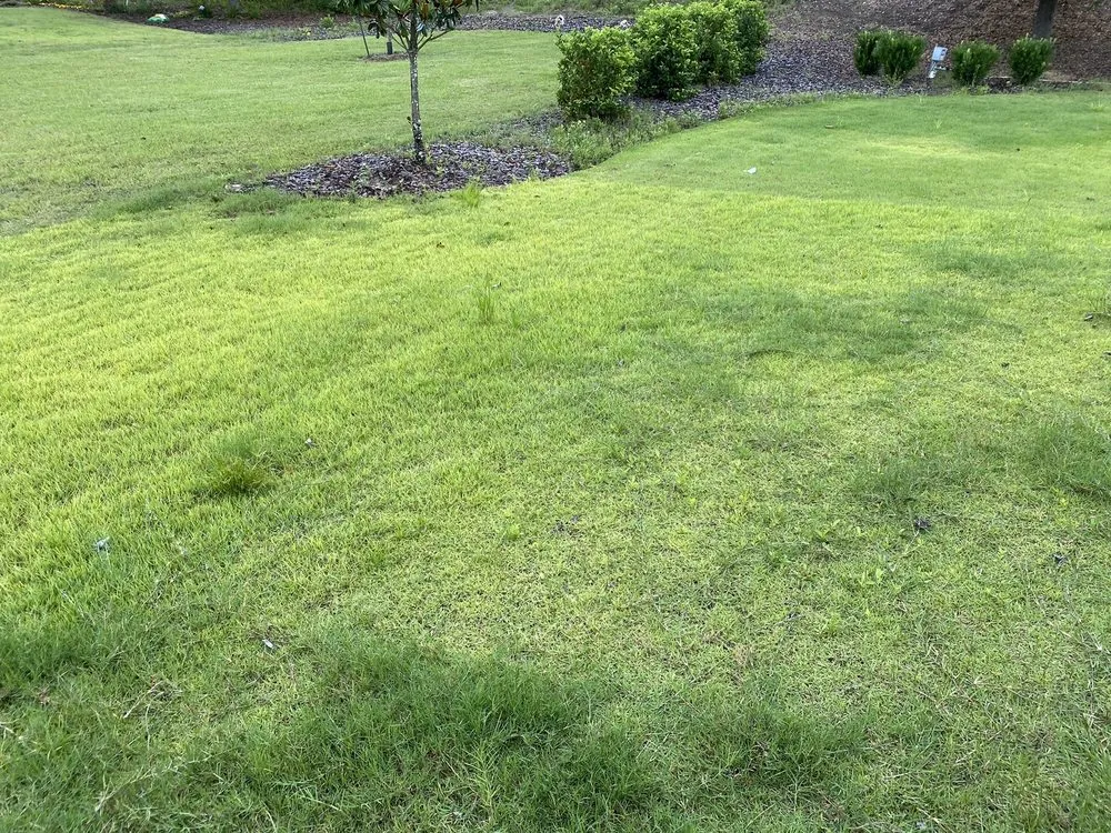 Reliable garden landscaping in Gainesville, FL - Massey Services