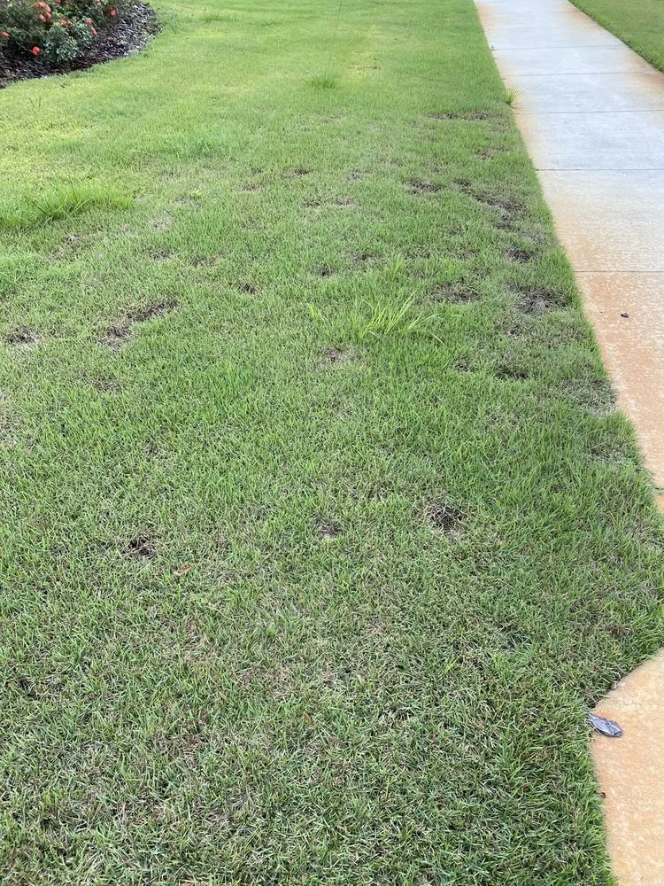 Professional residential landscaping for homes in Gainesville, FL by Massey Services