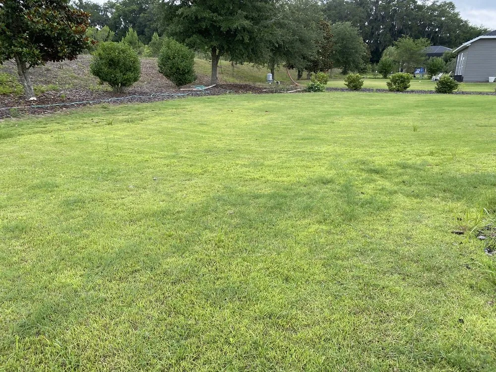 Trusted landscape design for residential properties in Gainesville, FL by Massey Services