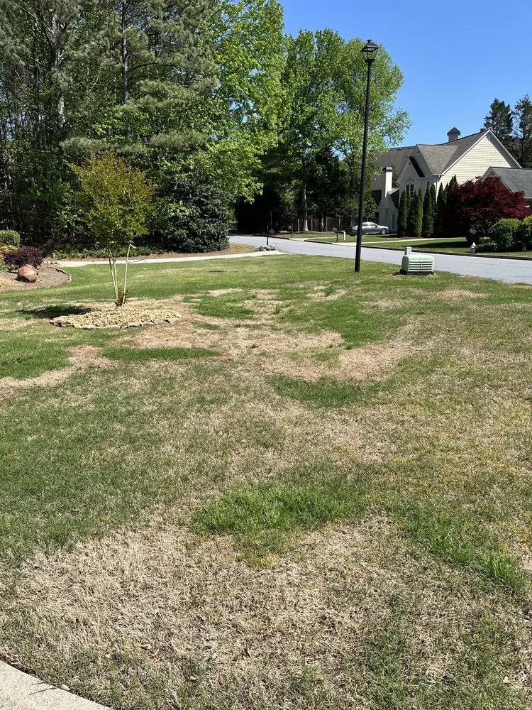 Expert outdoor landscaping with custom design across Palm Harbor, FL - Massey Services GreenUp Lawn