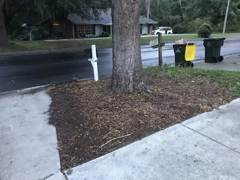 Top-rated landscape design for outdoor upgrades in Groveland, FL by Massey Services