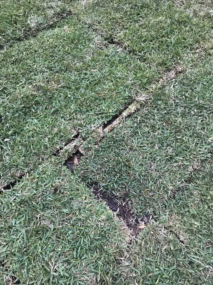 Professional landscape installation in Groveland, FL - Massey Services