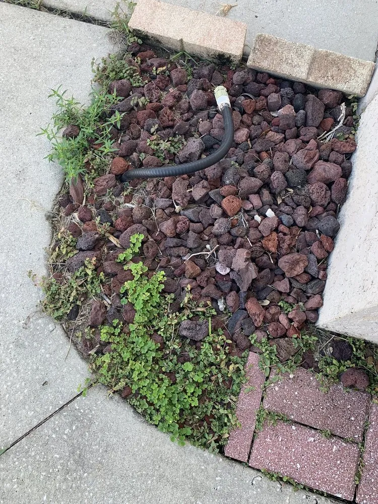 Professional lawn care service in Groveland, FL - Massey Services