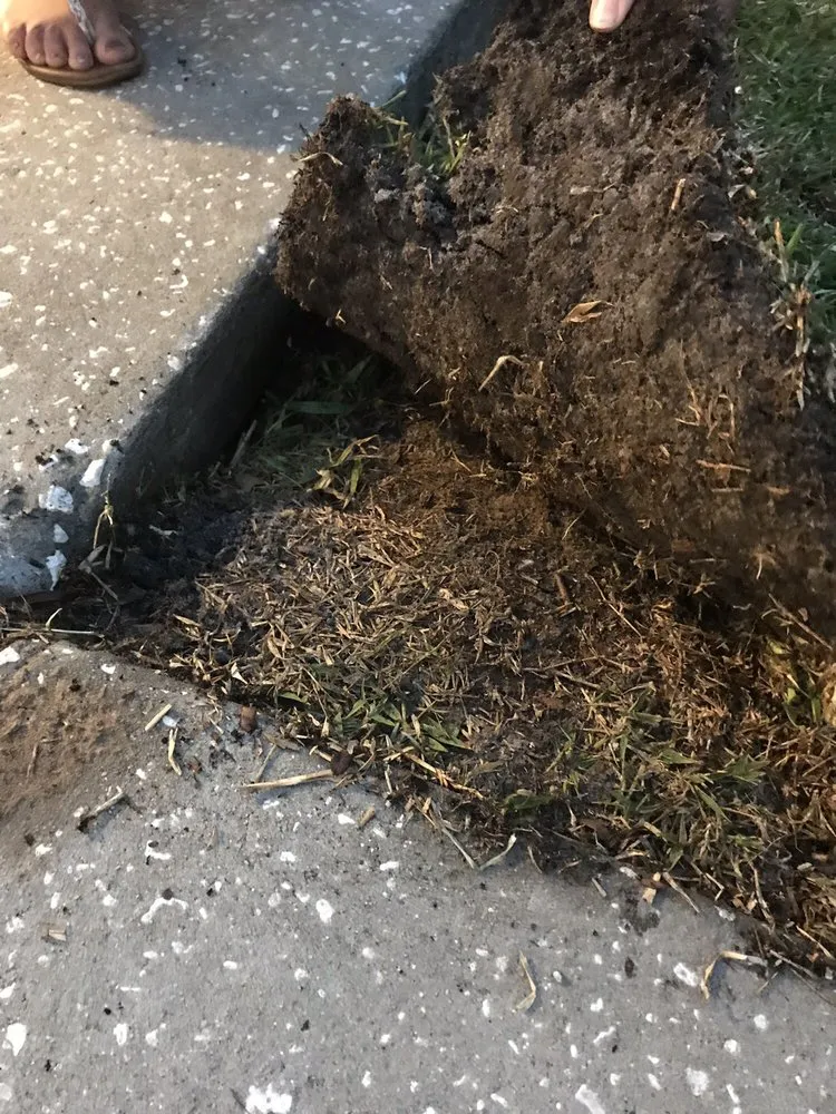 Top-rated landscaping services experts serving Groveland, FL - Massey Services