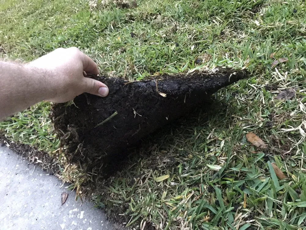 Expert landscape design for residential properties in Groveland, FL by Massey Services