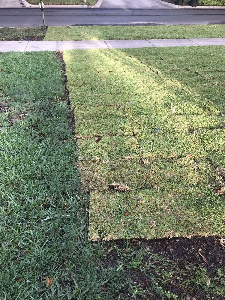 Affordable landscaping services in Groveland, FL - Massey Services