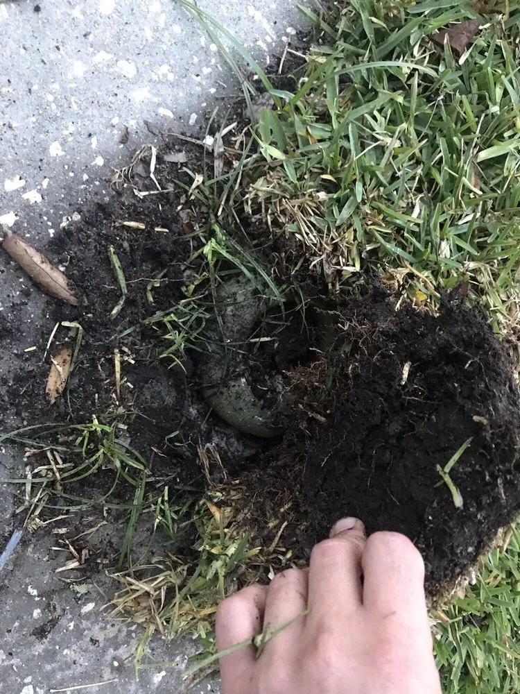 Trusted yard cleanup service in Groveland, FL by Massey Services