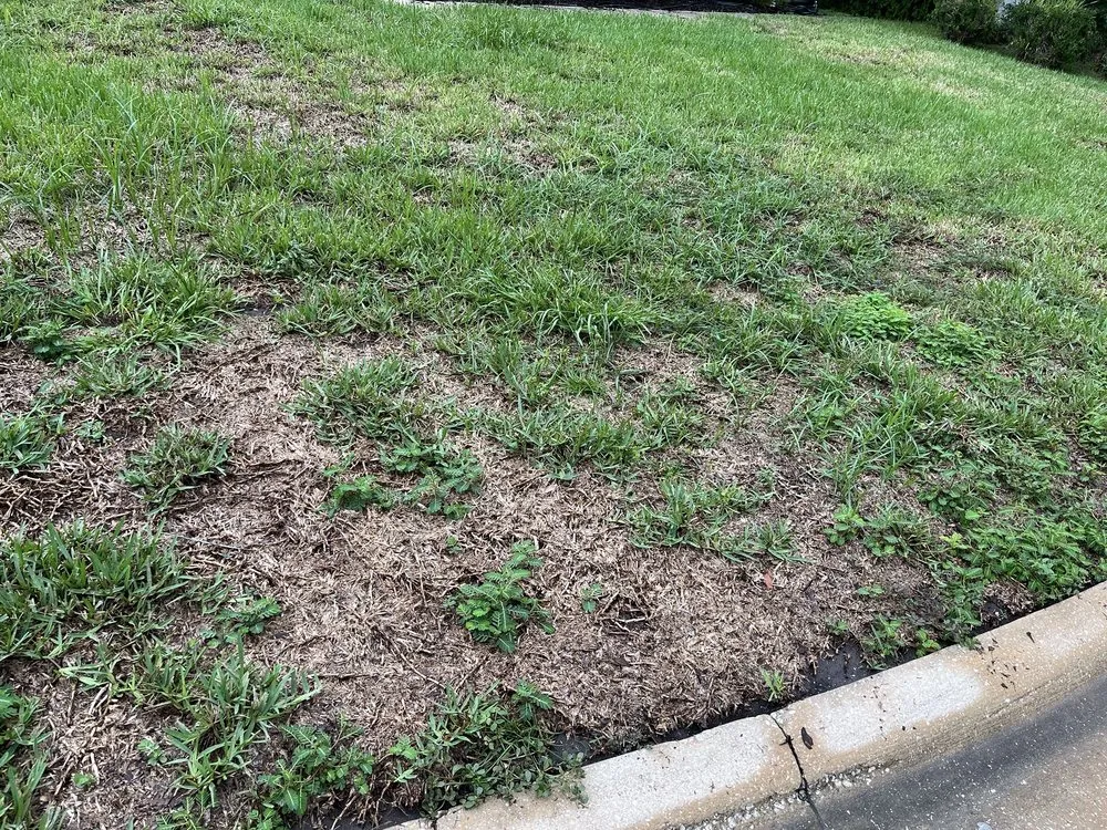 Custom lawn mowing service in Jacksonville, FL - Massey Services