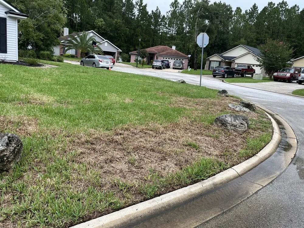 Affordable garden landscaping in Jacksonville, FL - Massey Services