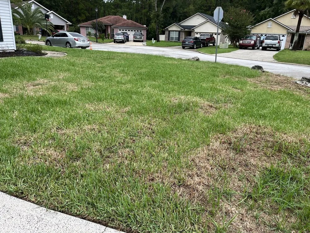 Reliable landscape design near you in Jacksonville, FL by Massey Services