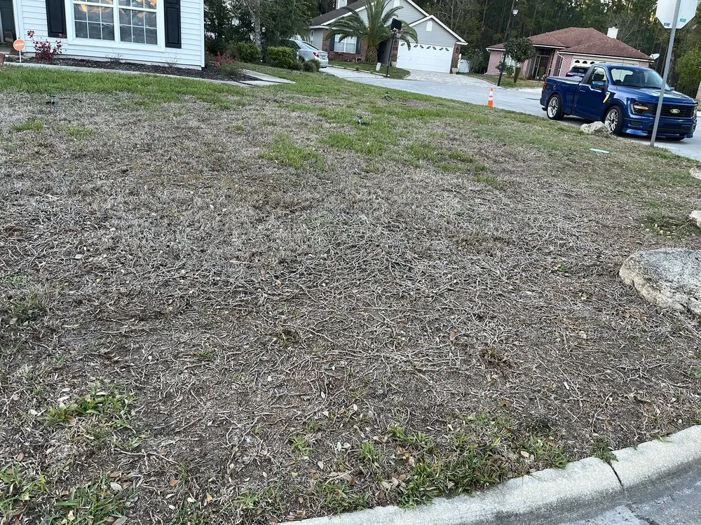 Reliable outdoor landscaping for beautiful yards across Jacksonville, FL - Massey Services