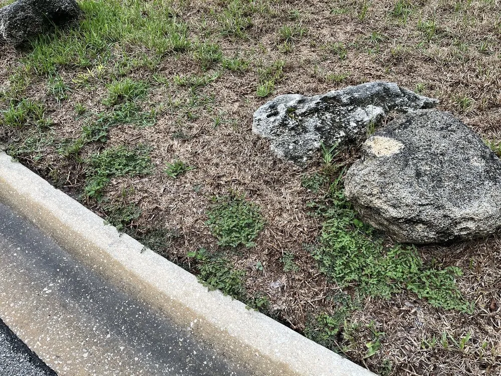 Custom yard maintenance experts serving Jacksonville, FL - Massey Services