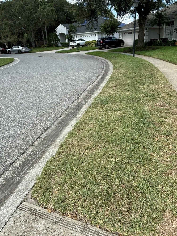 Local lawn mowing service for residential properties across Kissimmee, FL - Massey Services