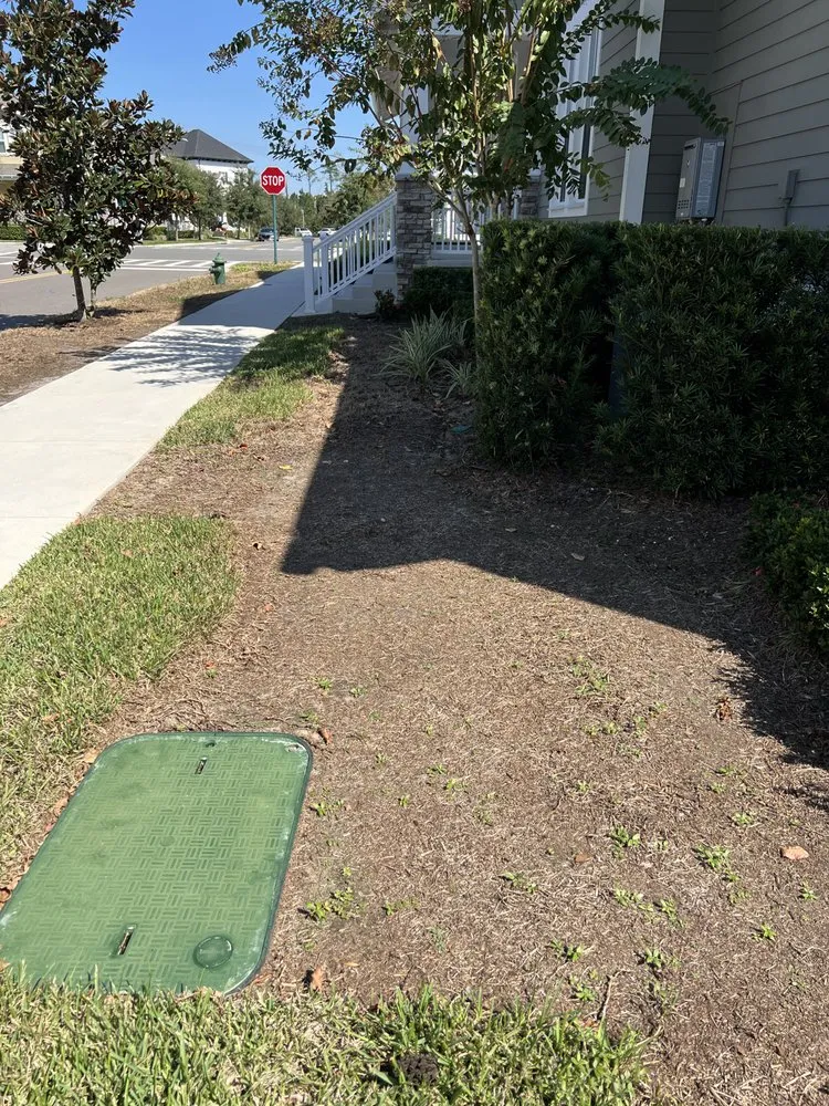 Custom landscape installation for year-round maintenance across Kissimmee, FL - Massey Services
