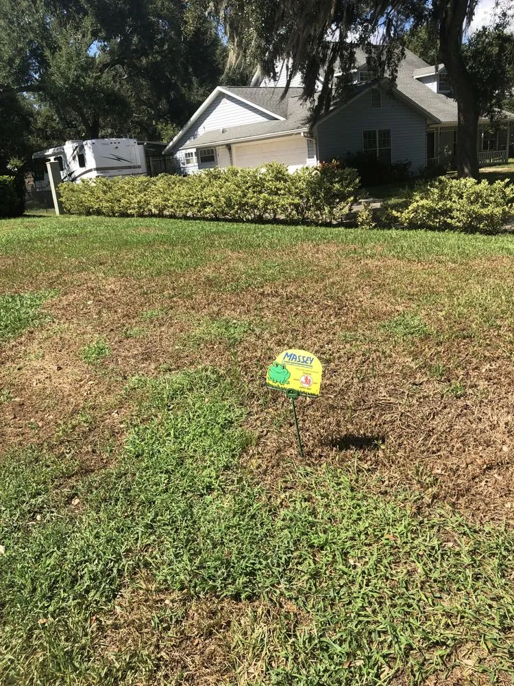 Affordable landscaping services for outdoor upgrades in Kissimmee, FL by Massey Services