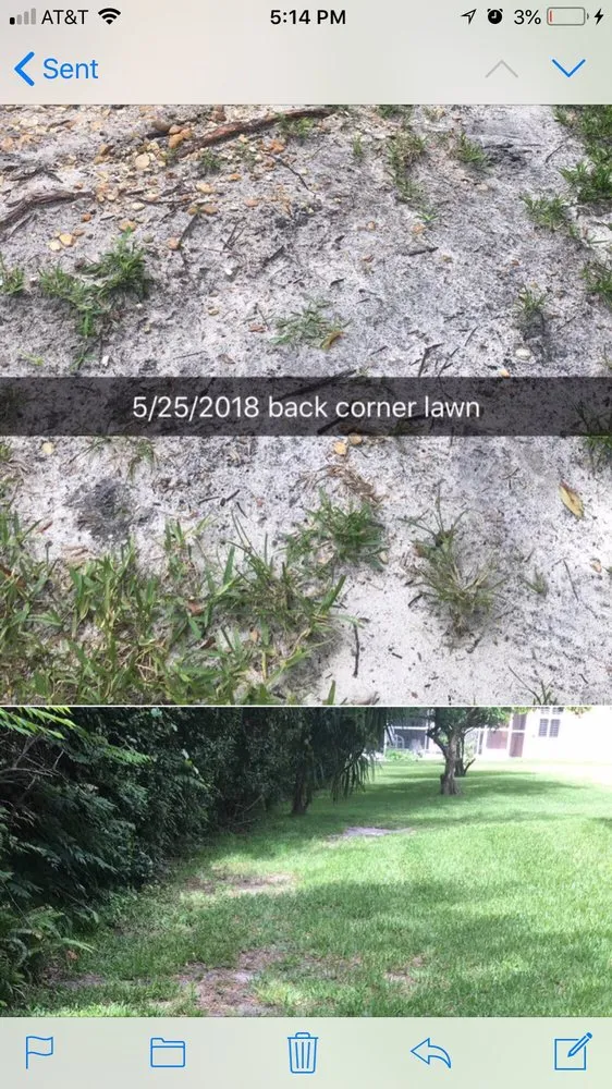 Expert landscape design for year-round maintenance across Lake Mary, FL - Massey Services