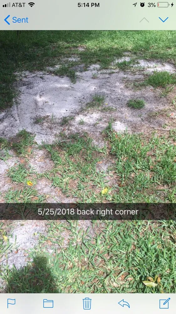 Professional yard cleanup service experts serving Lake Mary, FL - Massey Services