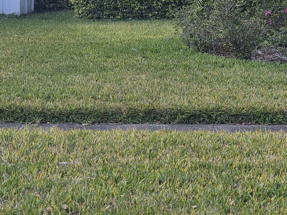 Reliable landscaping services in Largo, FL by Massey Services