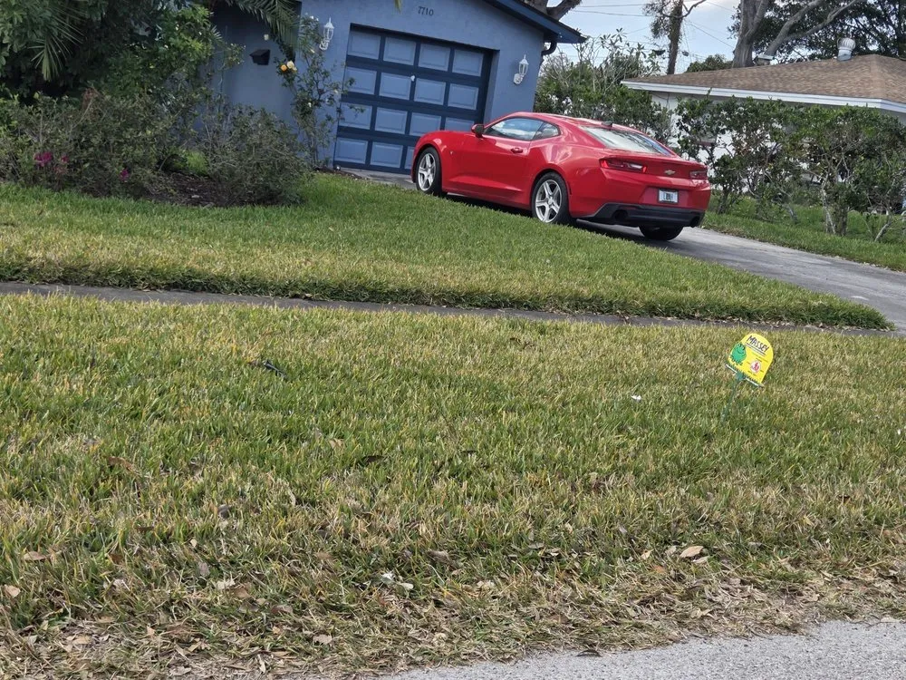 Affordable yard cleanup service in Largo, FL - Massey Services