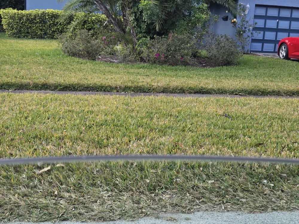 Trusted yard maintenance for residential properties across Largo, FL - Massey Services