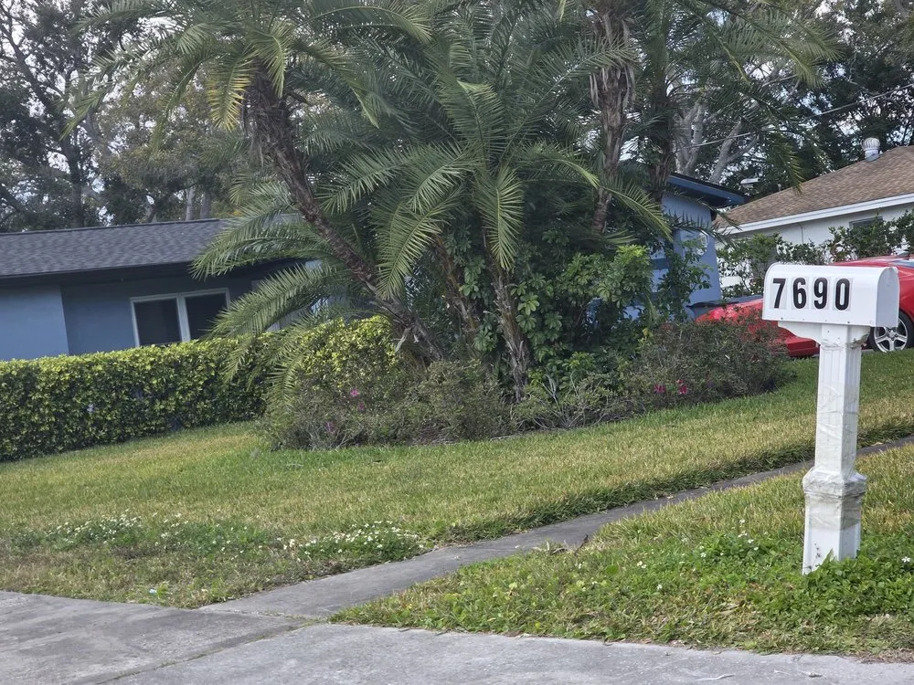 Reliable yard cleanup service experts serving Largo, FL - Massey Services
