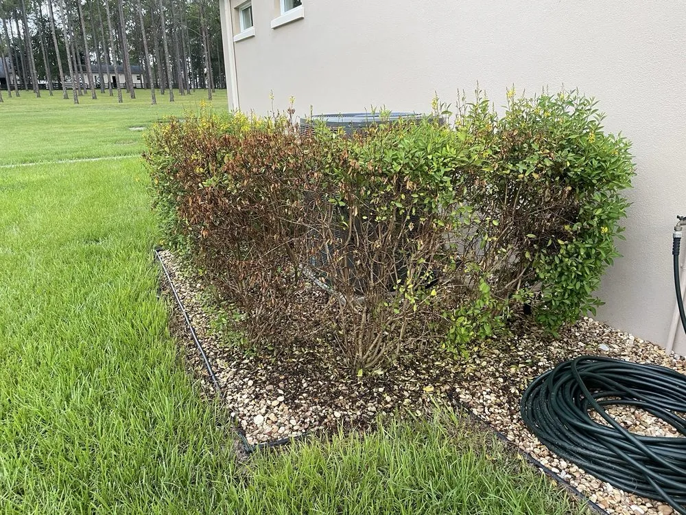 Professional residential landscaping for residential properties in Leesburg, FL by Massey Services