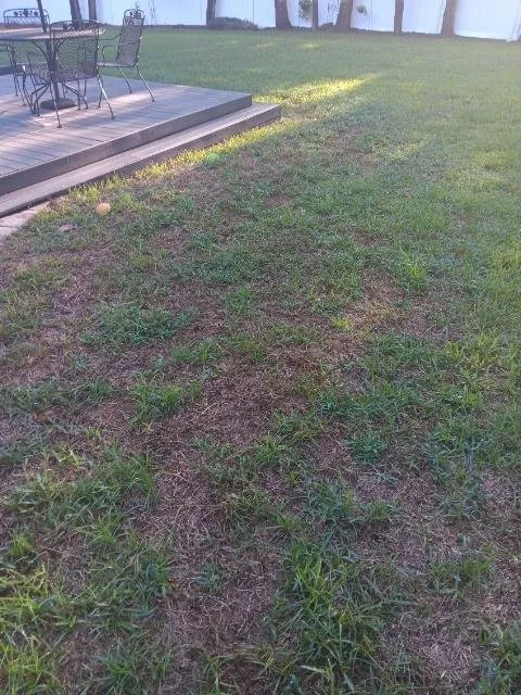 Top-rated lawn care service for outdoor upgrades in Longwood, FL by Massey Services