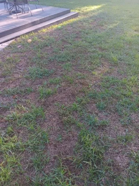 Expert outdoor landscaping for homes across Longwood, FL - Massey Services