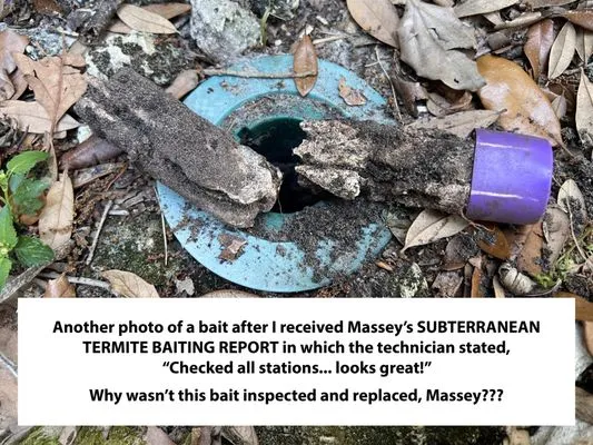 Massey Services Logo