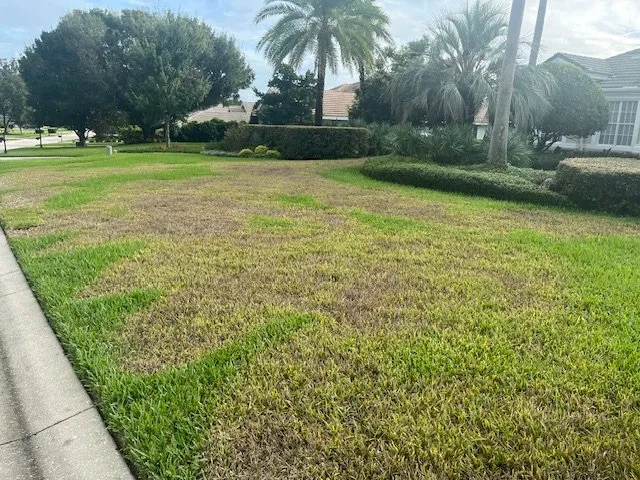 Top-rated residential landscaping in Lutz, FL - Massey Services