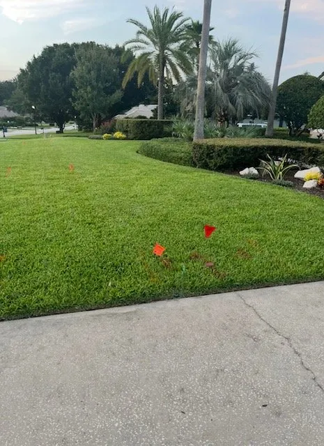 Affordable yard maintenance for residential properties across Lutz, FL - Massey Services