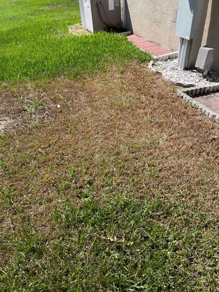 Professional garden landscaping in Melbourne, FL by Massey Services