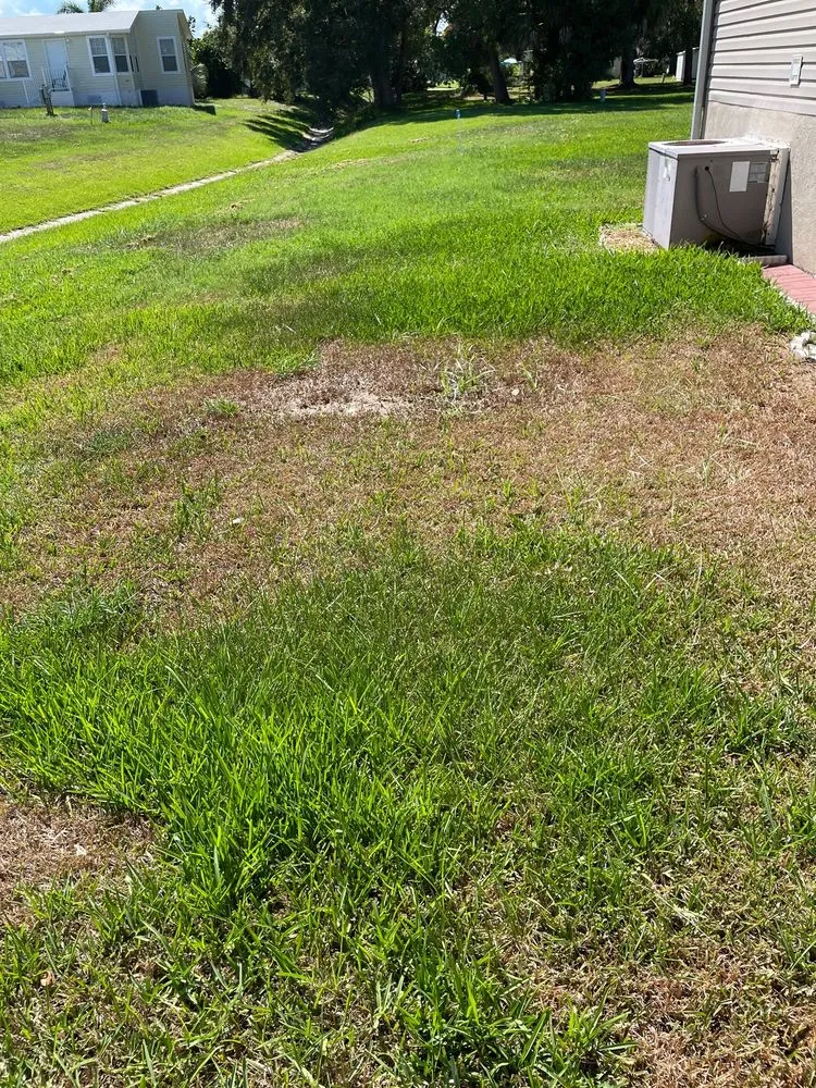 Top-rated landscape design in Melbourne, FL - Massey Services