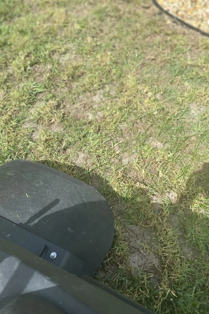 Local outdoor landscaping experts serving Ocala, FL - Massey Services