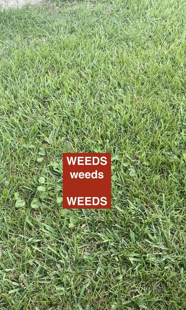 Expert lawn care service for residential properties in Ocala, FL by Massey Services