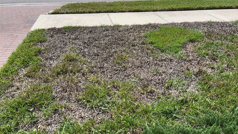 Custom lawn care service in Odessa, FL by Massey Services