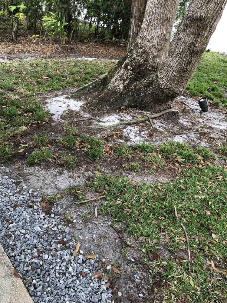 Professional landscaping services experts serving Odessa, FL - Massey Services