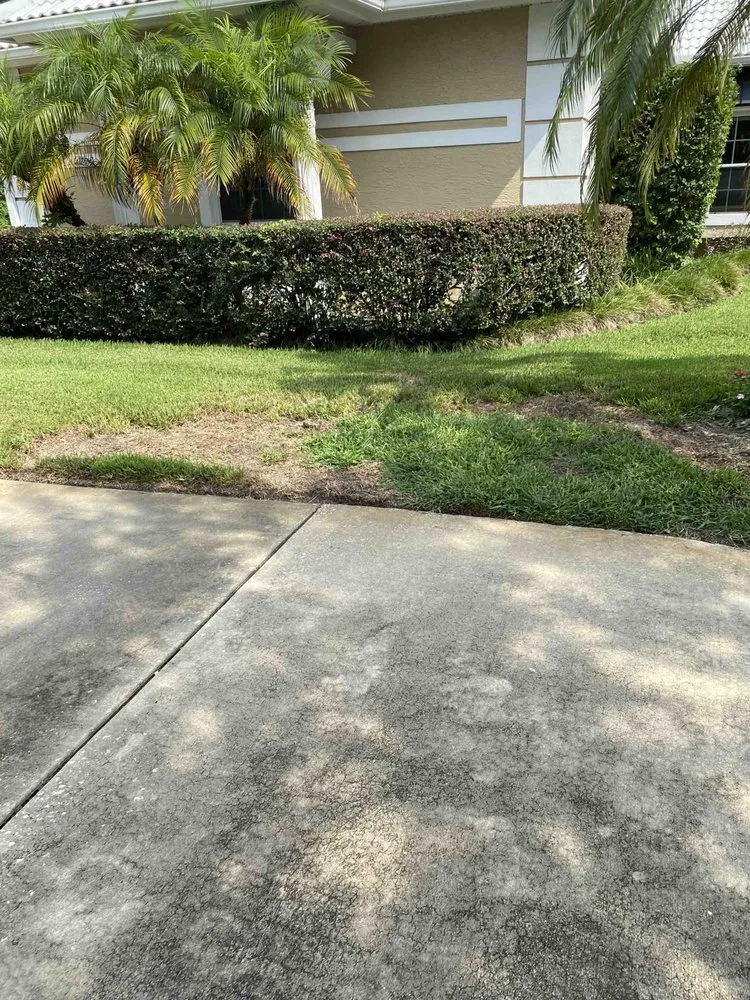 Affordable landscape installation experts serving Orlando, FL - Massey Services