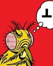 Local outdoor landscaping experts serving Orlando, FL - Massey Services