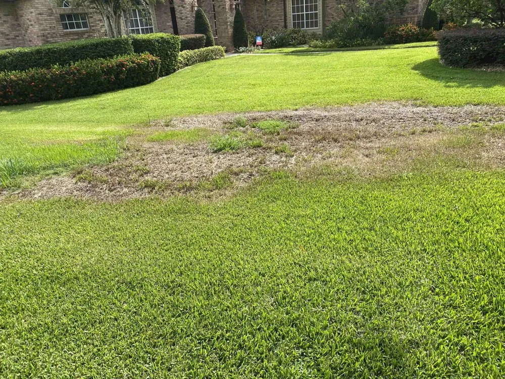 Top-rated outdoor landscaping for beautiful yards across Orlando, FL - Massey Services