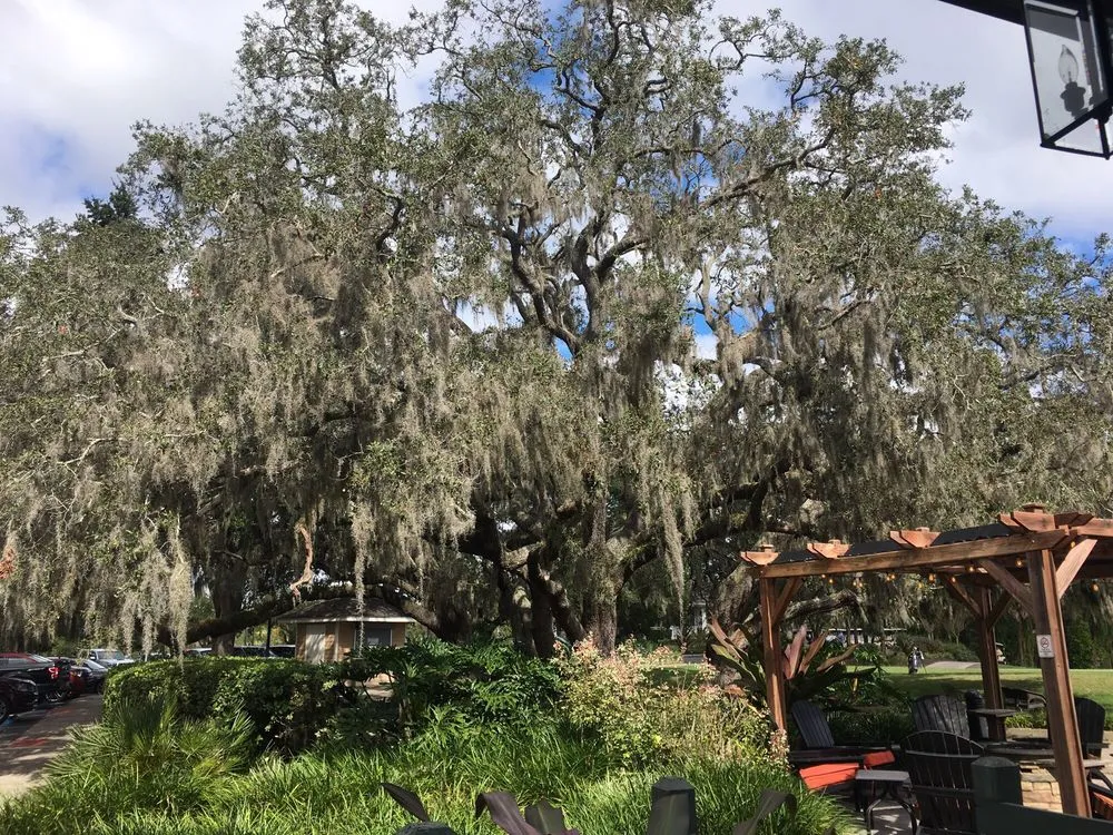 Top-rated landscaping services in Orlando, FL by Massey Services