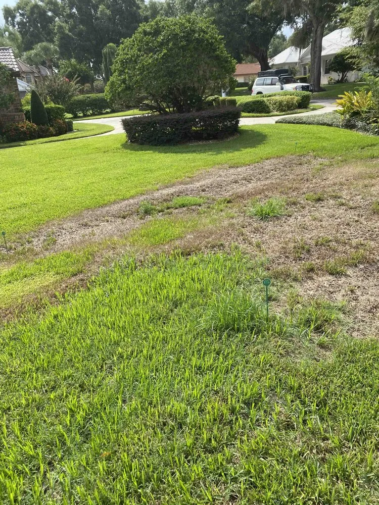 Reliable outdoor landscaping experts serving Orlando, FL - Massey Services